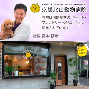 救急医療の実績あり“こころに寄り添う”動物病院