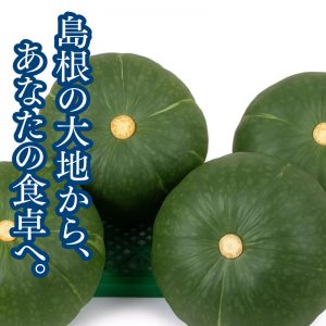 あま〜い♪島根県産完熟かぼちゃ