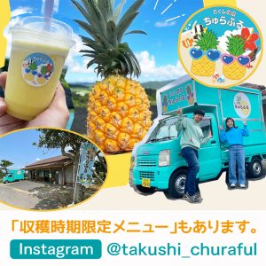 2025年5月OPEN！沖縄に移住した夫婦が手掛けるジャングリア沖縄近くのパイナップル直売所＆カフェ！