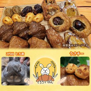 発酵バター香る、うさぎ印の町ベーカリー